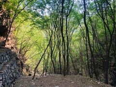 -十渡东湖港风景区