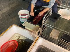 -铜元老码头鳝鱼火锅