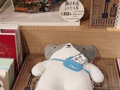-猫的天空之城概念书店(苏州诚品店)