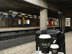 -M&S Food Grand Rex