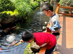 -聚福宝合苑食府(南头镇店)