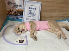 -恒幸动物医院·急重症转诊中心·神经内外科·CT核磁