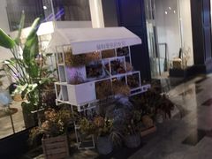 -植物学家的女儿(北马道巷店)