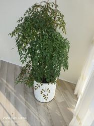 -HEYAN荷妍专业脱毛连锁机构