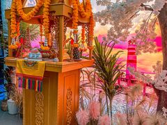 -泰妃殿(武汉首店)