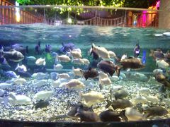 -成都浩海立方海洋公园