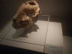 android_upload_pic-咸宁市博物馆