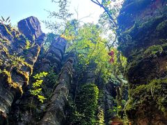 -梭布垭石林景区