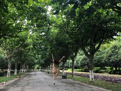 -上海鲜花港