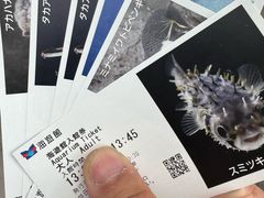 -大阪海游馆