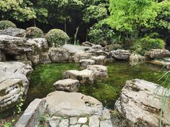 -铁山坪森林公园