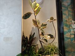 -鹿港小镇(霄云店)