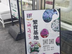 -上海鲜花港