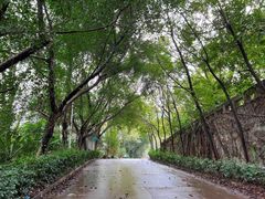 -家一加火锅(绿地翠谷总店)