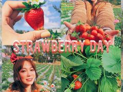 -小塘渔村(开平大道店)