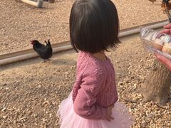 -甜心庄园·甜心草莓采摘园(西青中北店)