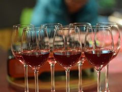 -生态苑农庄(十里画廊遇龙河店)