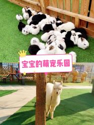 -萌宠亲子动物乐园(槐房万达店)