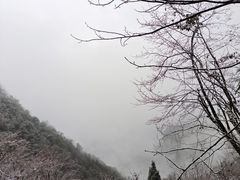 -九峰山
