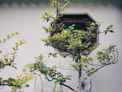 -太平天国历史博物馆(瞻园)