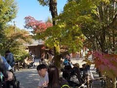 -豆政(金閣寺境内売店)