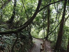 -广州市石门国家森林公园