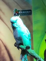 -未来动物城主题公园(正弘城店)