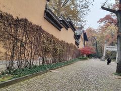 -灵谷景区
