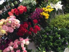 -花辰月夕花坊(北滨路店)