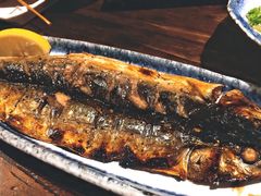 -鸟鸣门屋台料理(金帝银泰店)