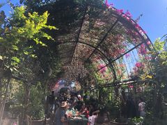 -The Grounds of Alexandria