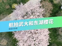 -武汉大学-樱园