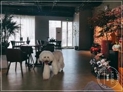 -百好乐宠物友好餐厅(朝外大街店)