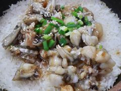 -红星光发煲仔饭(大石街店)
