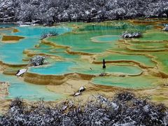 -黄龙山原始森林景区
