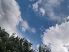 -深圳湾公园(南山区)