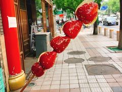 -和禄德冰糖葫芦