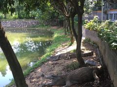 -三水森林公园