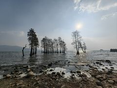 -大理洱海