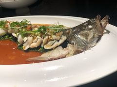 多宝鱼广式蒸-梧桐花园餐厅(新城店)