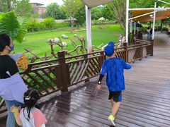 -泉州海丝野生动物世界