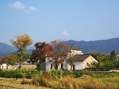 -塔川景区