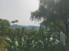 -长兴太湖图影湿地文化园