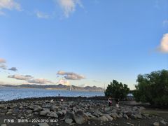 -深圳湾公园(南山区)