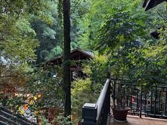 -巴倒烫陆派火锅山庄(南山总店)