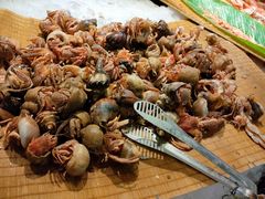 -凯悦·东方公主号 全球海鲜自助餐厅(凯丹广场店)