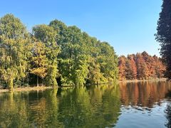 -上海海湾国家森林公园