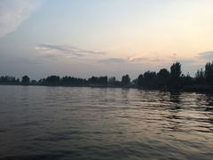 -白洋淀景区