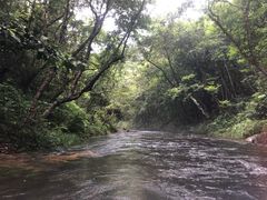 -大观园昆山峡漂流