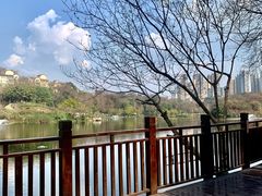 -重庆彩云湖湿地公园